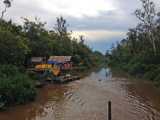 Sekonyer River, Borneo