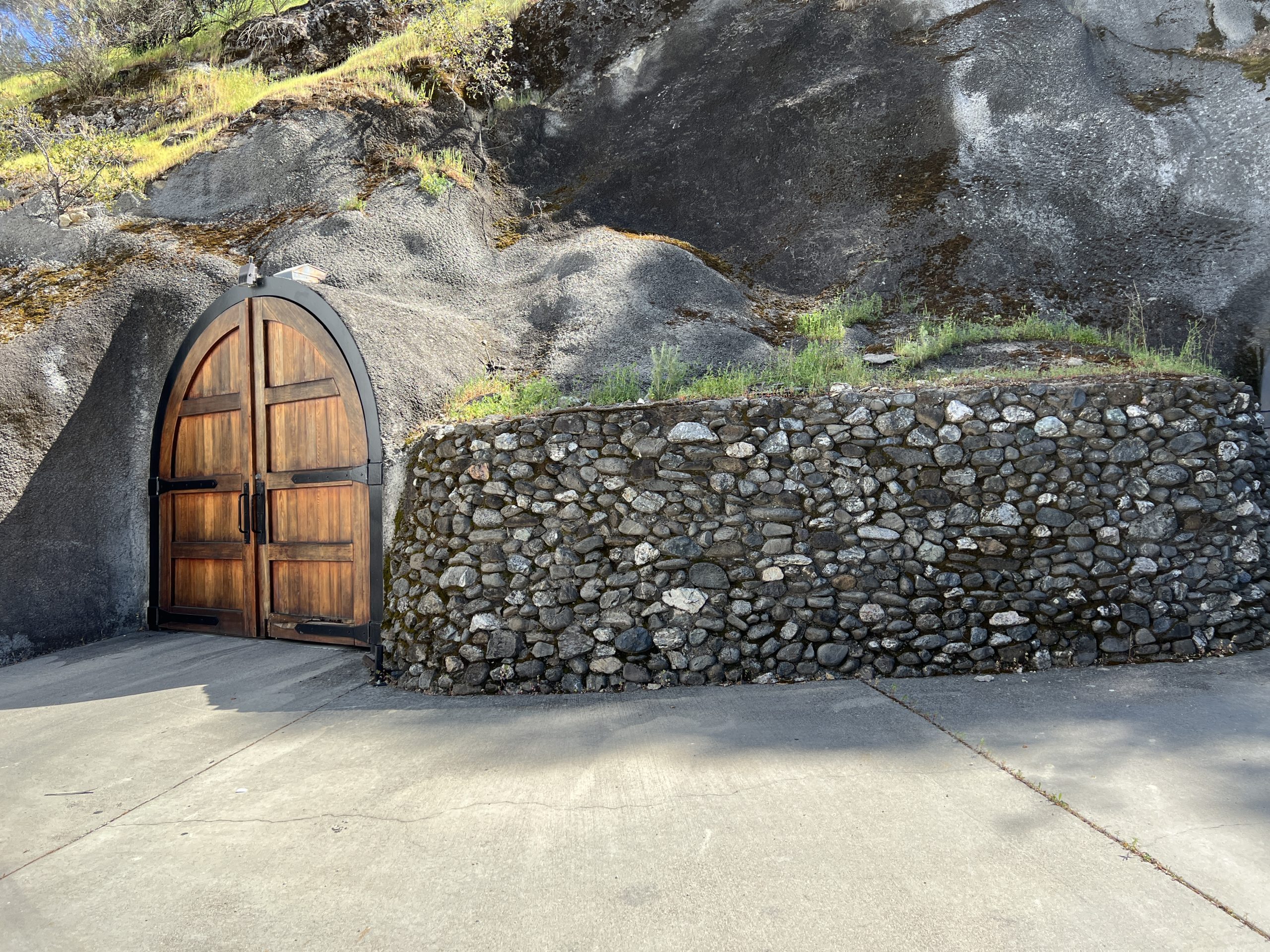 A stone wall with two doors and grass growing on it.