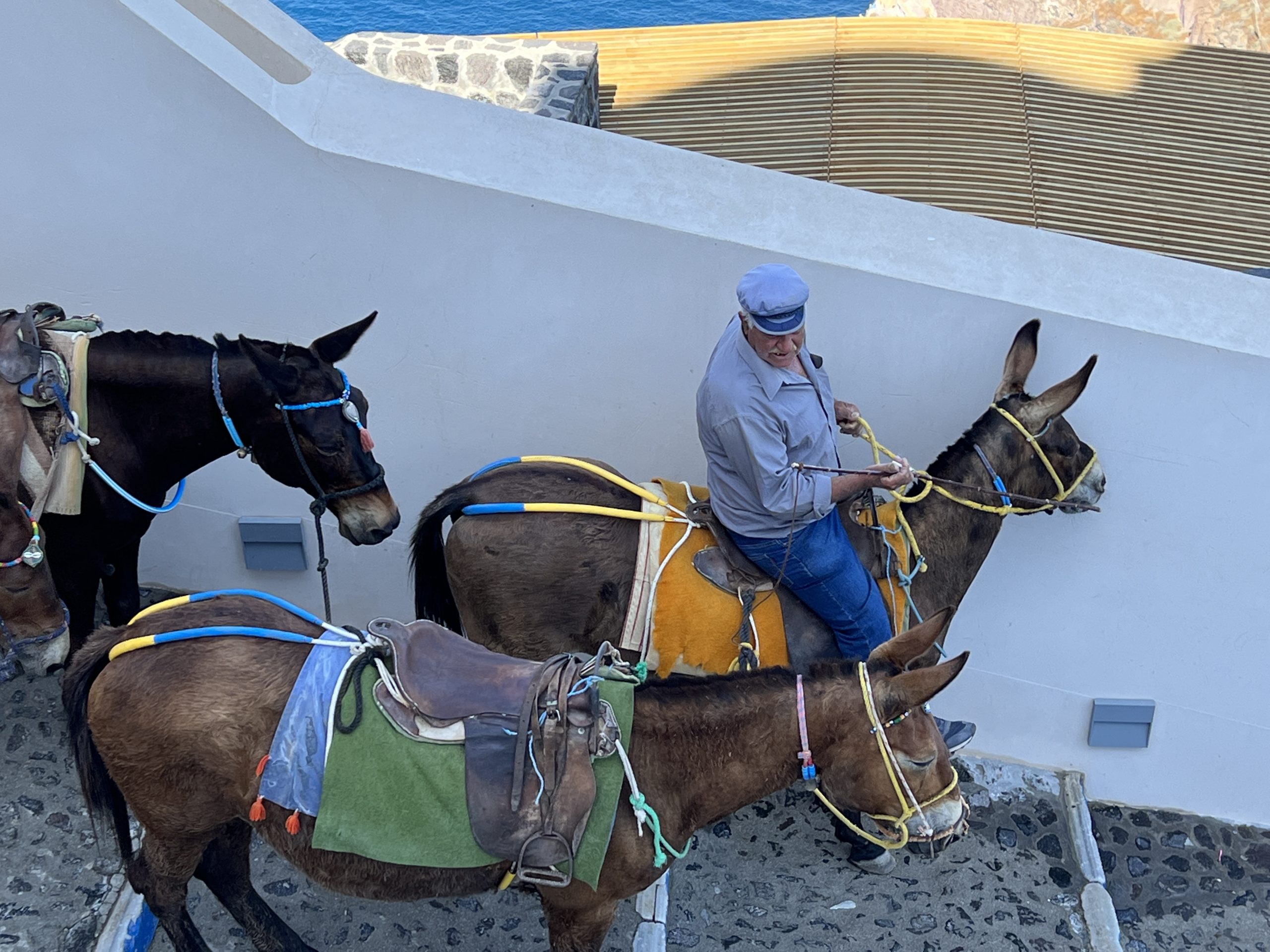 A man riding on the back of two donkeys.