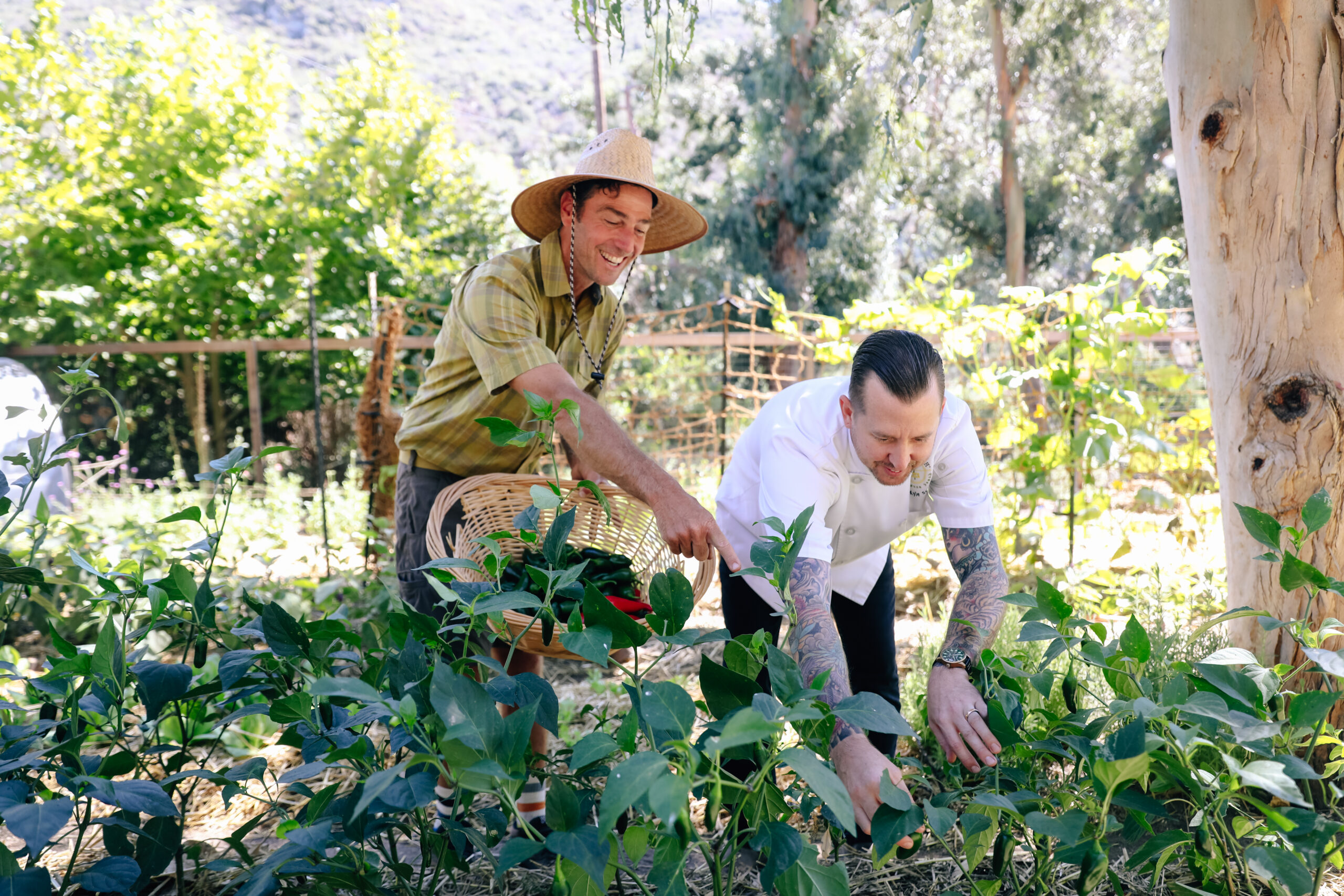 Two men in a garden with plants and trees.