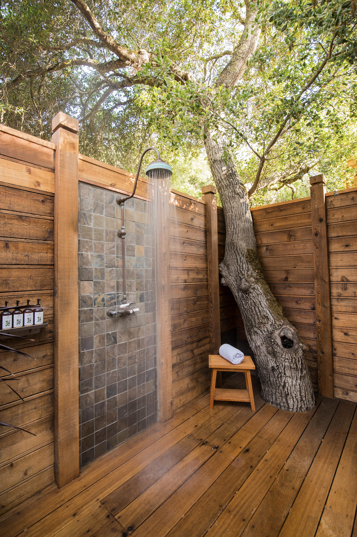 A tree trunk in the middle of an outdoor shower.