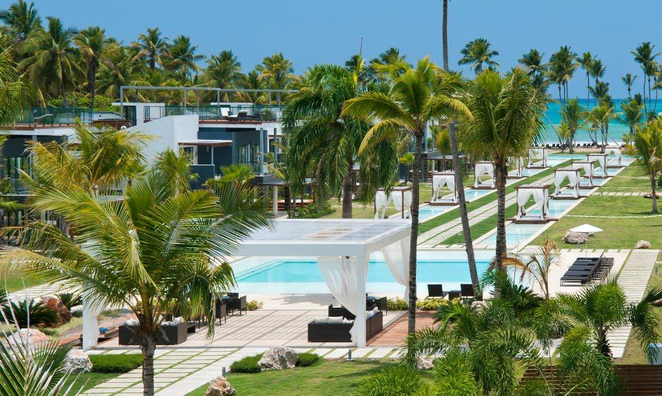 A view of a pool and some palm trees.