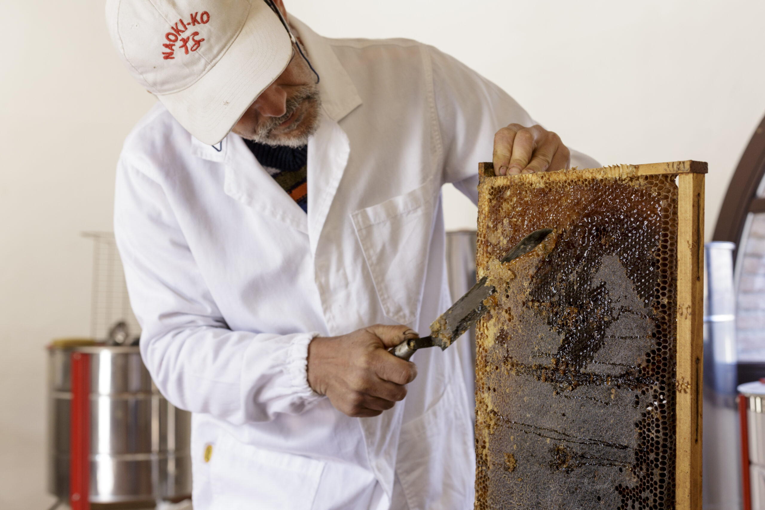 A man in white lab coat and hat cutting paper.