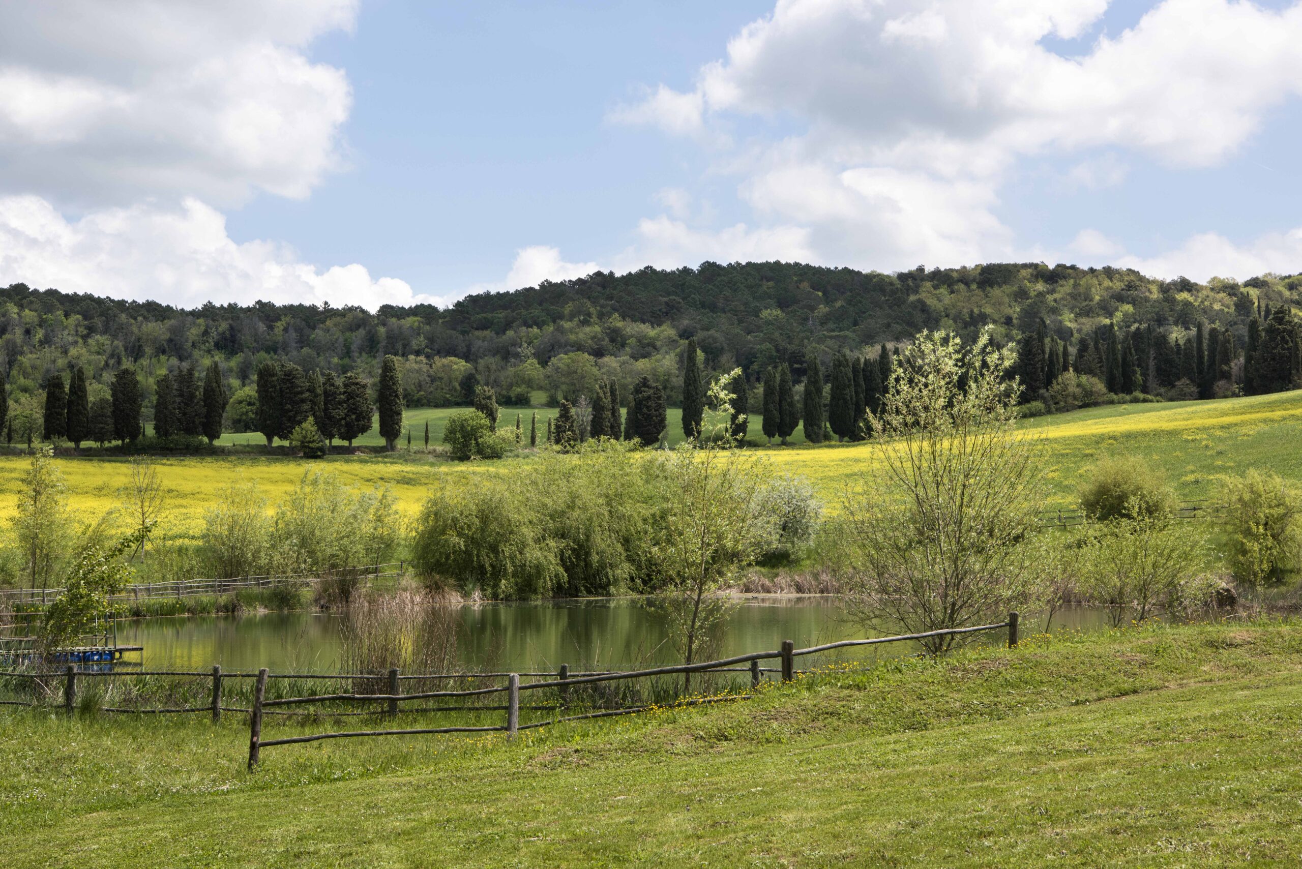 A field with trees and water in the background