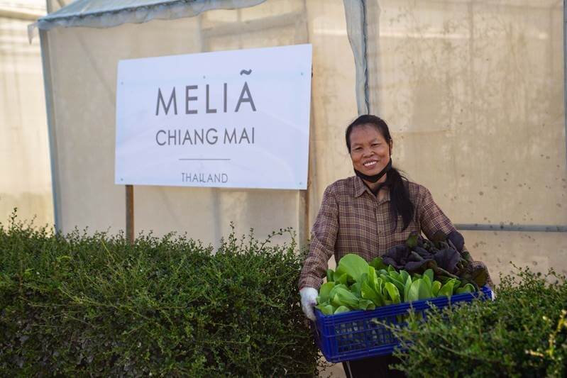 A woman holding a basket of vegetables in front of bushes.