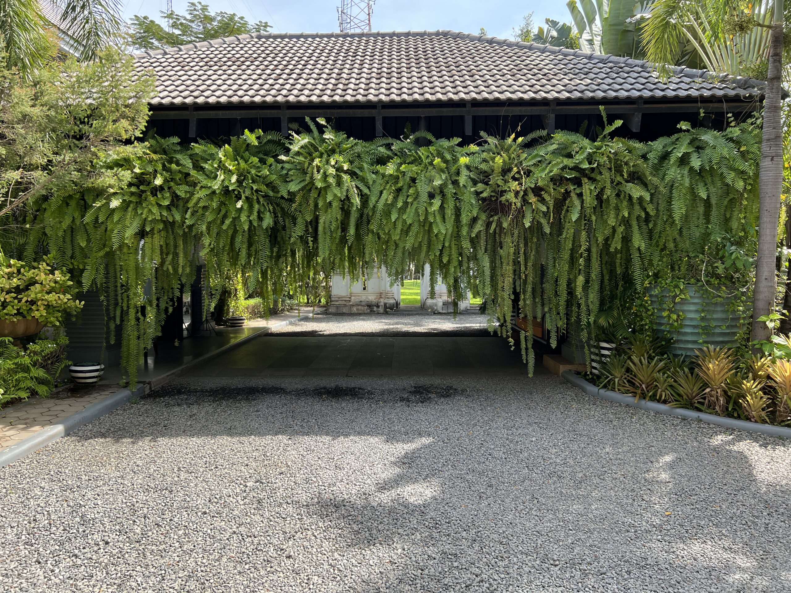 A driveway with a covered area and plants growing over it.