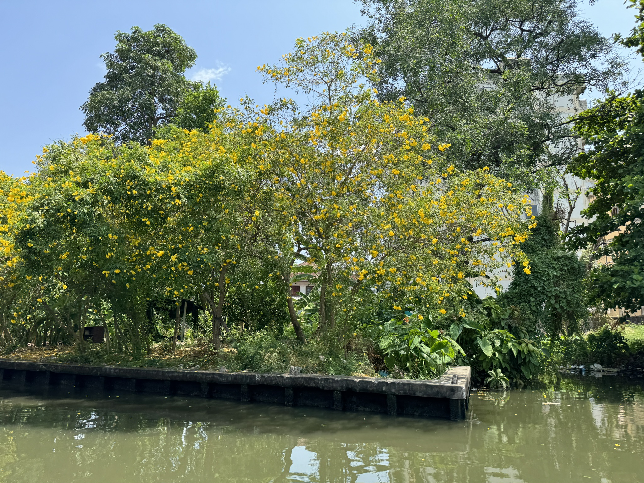 A boat floating on the water near some trees.