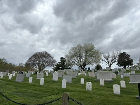 A cemetery with many white tombstones in the grass.
