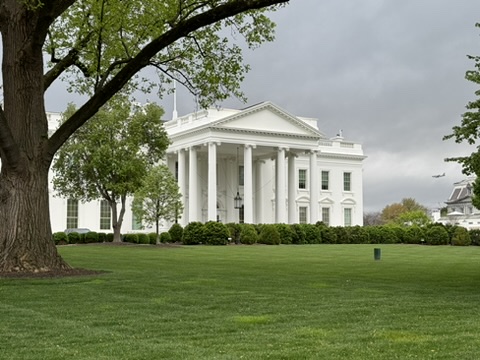 A white house with trees in front of it