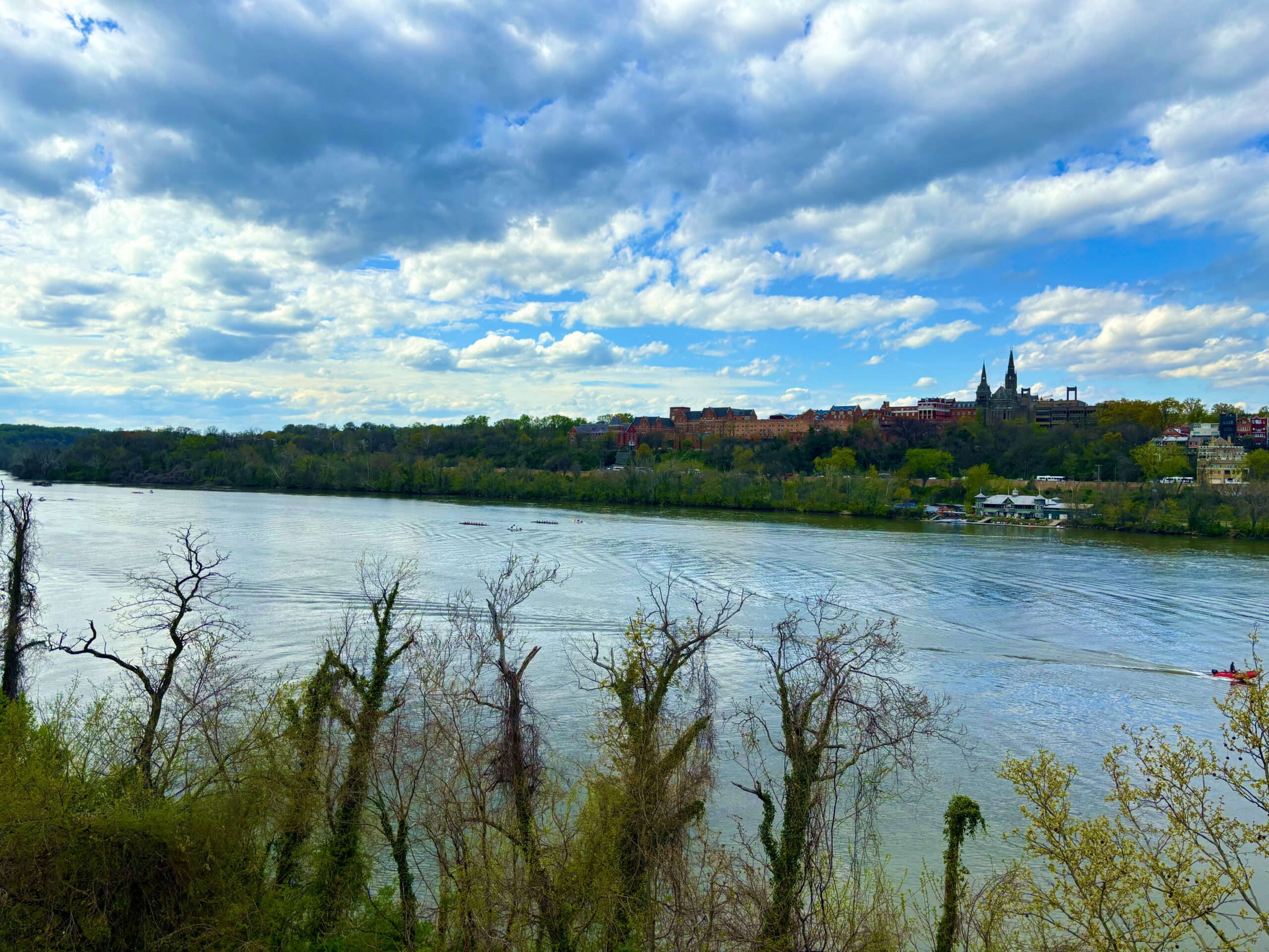 A body of water with trees and buildings in the background.